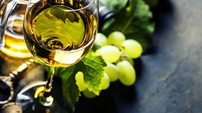 Amateur de vin