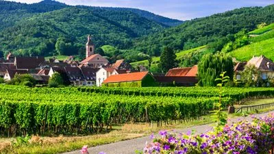 Gastronomie sur le Rhin avec Marc Haeberlin(2) (formule port/port)