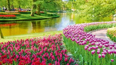 Springtime in Holland (port-to-port cruise)