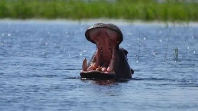 Image alt text not provided.